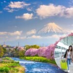 What is the Best Time to Visit Japan? A Seasonal Guide for an Unforgettable Trip