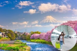 What is the Best Time to Visit Japan? A Seasonal Guide for an Unforgettable Trip